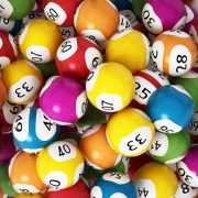 ДНК помогло определить победителя в лотерее