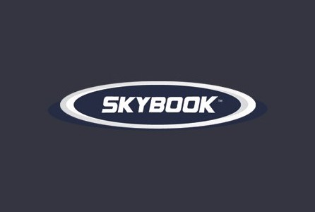 Букмекерская контора Skybook